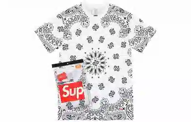 Supreme x Hanes Bandana Tagless Tees