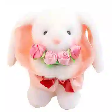 27cm