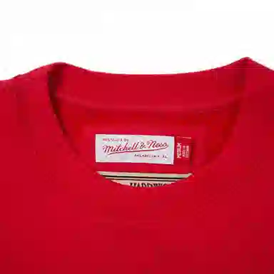 Mitchell Ness 76