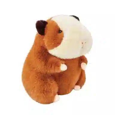 X2HOMME 20cm30cm