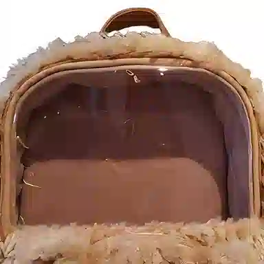 Disney Duffy Transparent Backpack