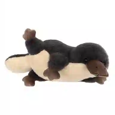 60cm