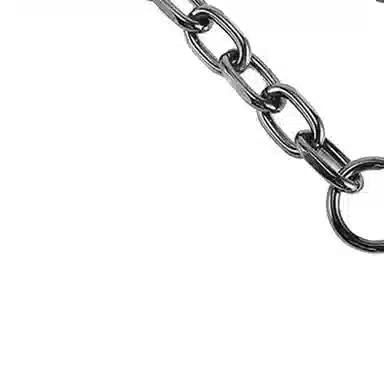 Longchamp Hobo Strap Gunmetal/White