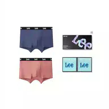 Lee 3