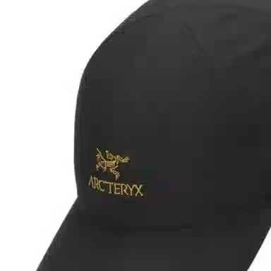 Arcteryx Bird Word Cap