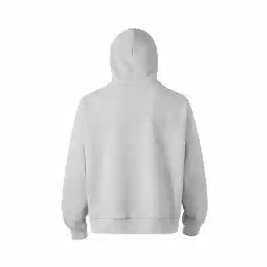 Wuzhi Formula Hoodie