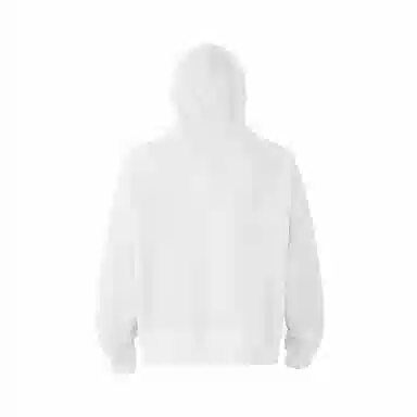 Wuzhi Formula Hoodie