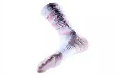 VEIDOORN 3