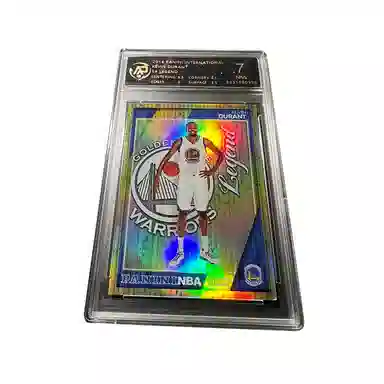 PANINI KD RPA