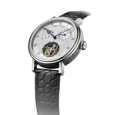 Sea-Gull 818.11.6149