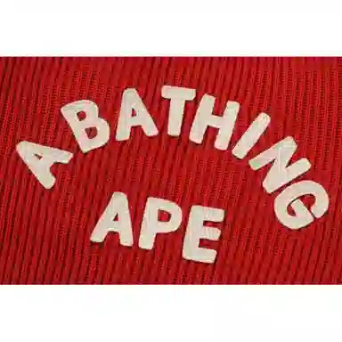 BAPE FW24 logo