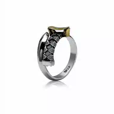 GUXI Journey Ring
