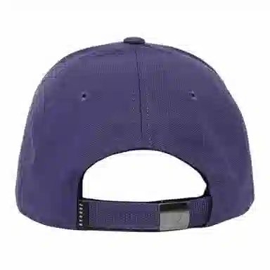 Jordan 3D Logo Cap Purple