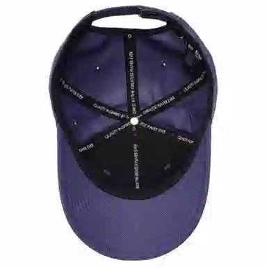 Jordan 3D Logo Cap Purple