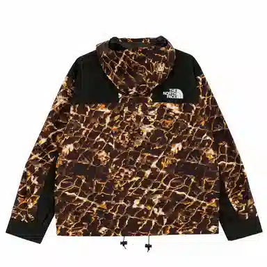 THE NORTH FACE 1986 Logo
