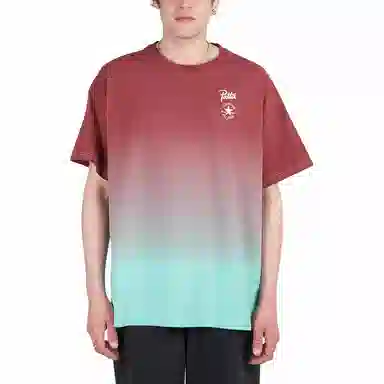 Converse Patta Gold Standard T