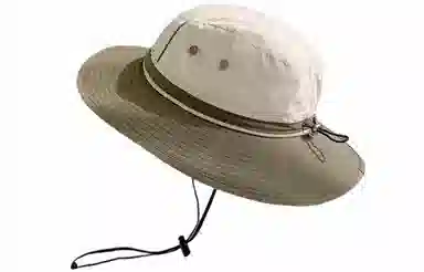 Cranta Komeia