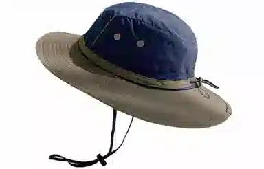 Cranta Komeia