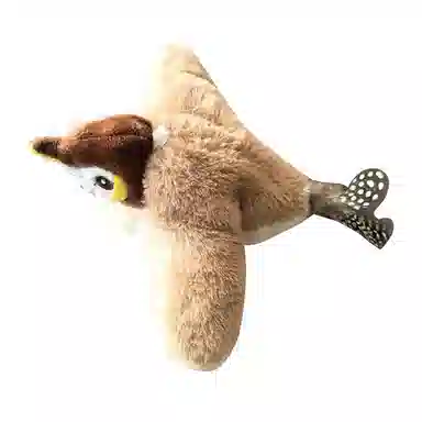 24cm