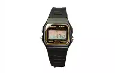 Casio Vintage F-91WG-9
