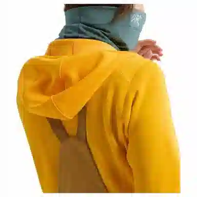 Arcteryx Logo Scarf Green