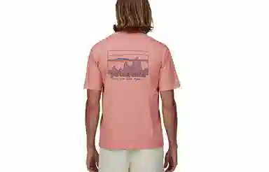 patagonia Men's '73 Skyline Organic T-Shirt LogoT
