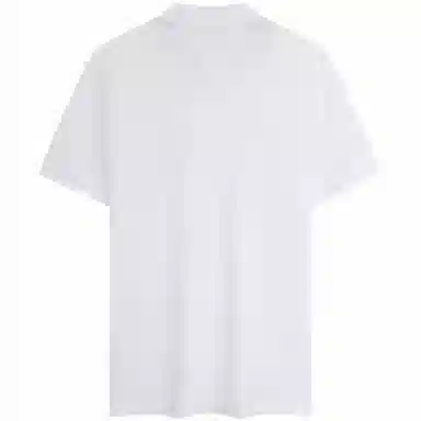 Tommy Hilfiger Polo Shirt