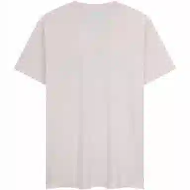 Tommy Hilfiger T