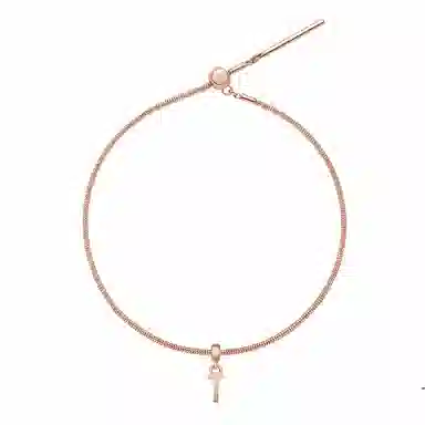 Daniel Wellington DW CHARMS
