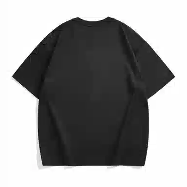 Hansca T