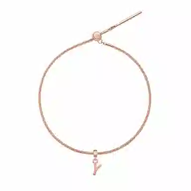 Daniel Wellington DW CHARMS