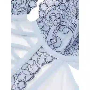 Victoria's Secret PINKDREAMANGELS Boho Floral Embroidery Low-Cut Demi Corset