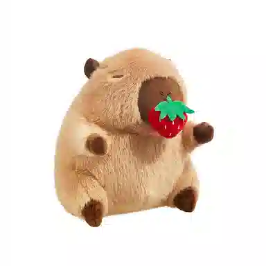 The Green Party 11cm22cm