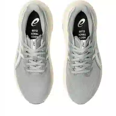 Asics GT-2000 13 ATC