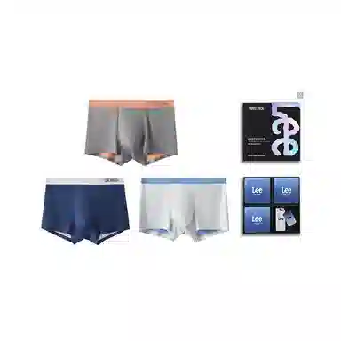 Lee 3