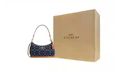 COACH Teri 24 Logo