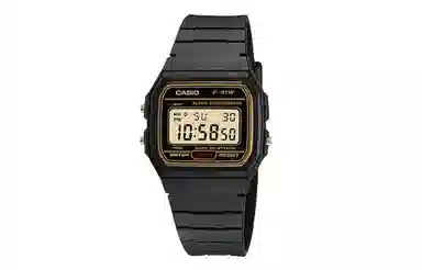 Casio Vintage F-91WG-9