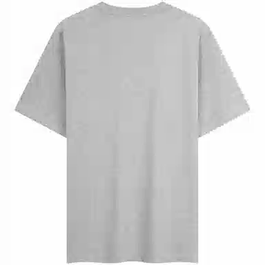 Tommy Hilfiger T