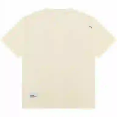 Aape T