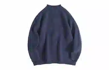 METE WHALE MT