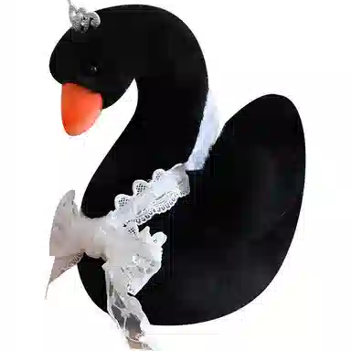 28cm38cm