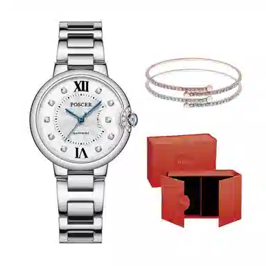 POSCER ins 50113L.WWW