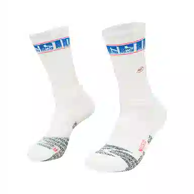 NICEID 3