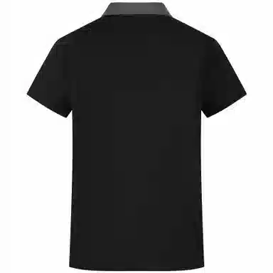 Automobili Lamborghini Polo