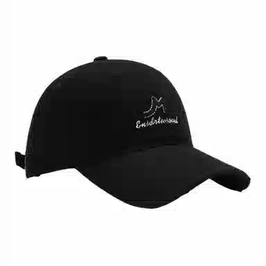 啄木鸟 简约字母刺绣软顶百搭休闲显脸小 棉 鸭舌帽 男女同款情侣款