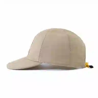 Dickies Cap