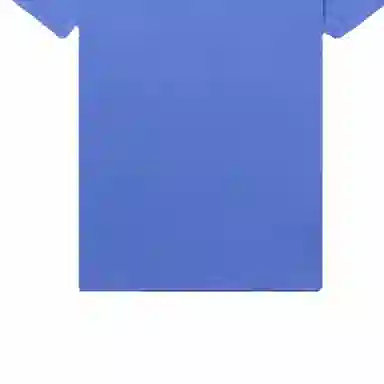 Polo Ralph Lauren LogoT
