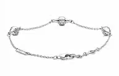 Pandora Bracelet