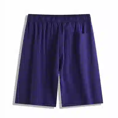Pierre Cardin Shorts