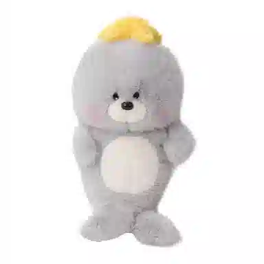 25cm40cm